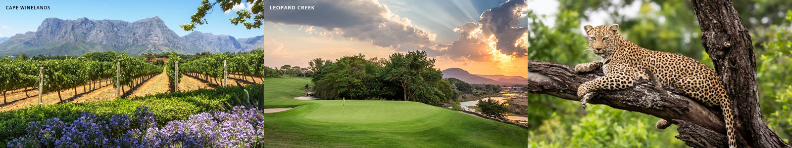 South Africa Golf Vacation South African Golf Trip South Africa Golf Vacation South African Golf Trip